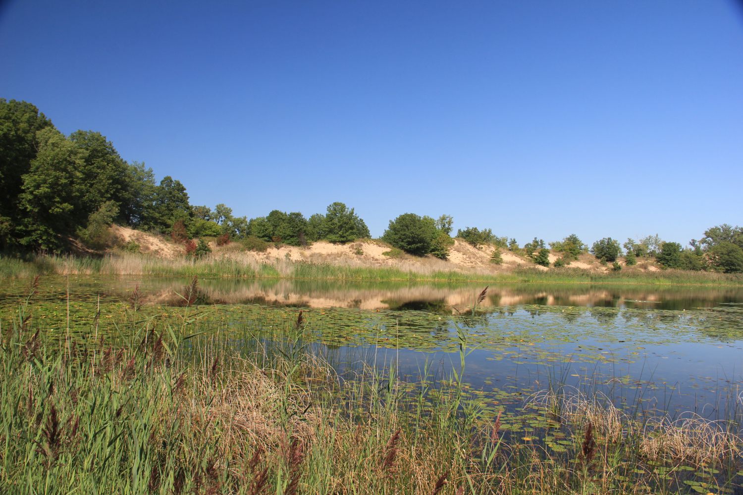 Ranger Led Miller Woods Hike 